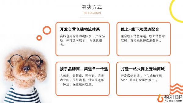 宠物商城（派多多）商业计划书范文