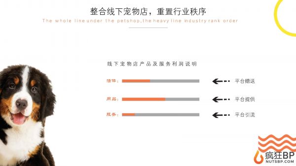宠物商城（派多多）商业计划书范文