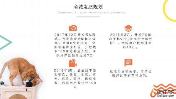 宠物商城（派多多）商业计划书范文