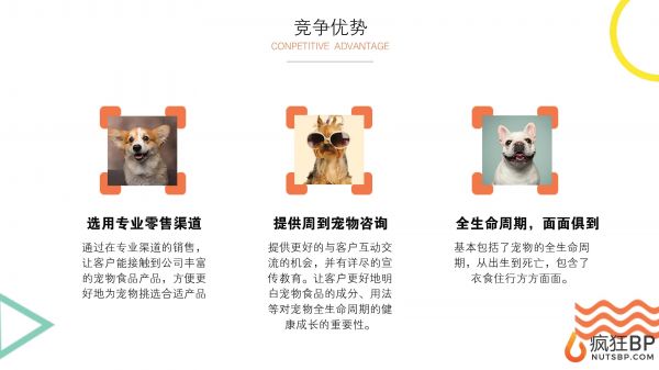 宠物商城（派多多）商业计划书范文