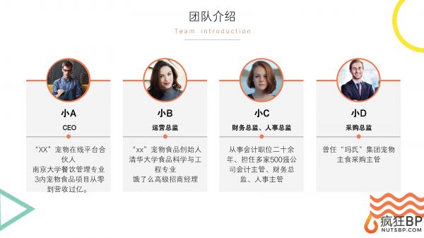 宠物商城（派多多）商业计划书范文