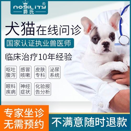 宠物专家?宠物专家免费咨询!