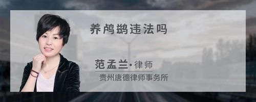 养鸬鹚违法吗