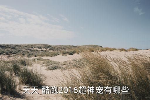  天天 酷跑2016超神宠有哪些
