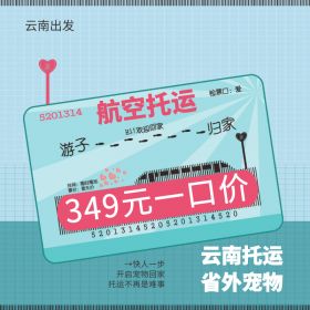 舟山349元一口价昆明宠物托运