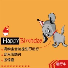 舟山宠物生日，宠乐游来助兴