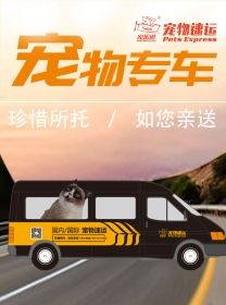 舟山特殊时期：宠乐游宠物专车服务