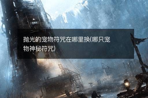 抛光的宠物符咒在哪里换(哪只宠物神秘符咒)