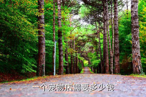 一个宠物店需要多少钱