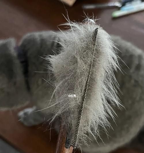 揭开猫不掉毛的神秘面纱（宠物猫的脱毛现象及解决方法）