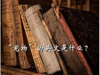 宠物英语,“宠物”的英文是什么？