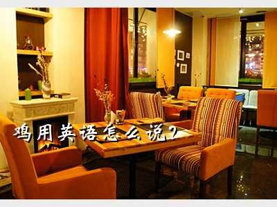 鸡 英语,鸡用英语怎么说？