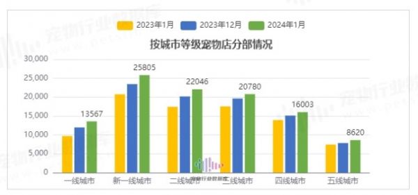 中国主要养宠城市宠物店分布图