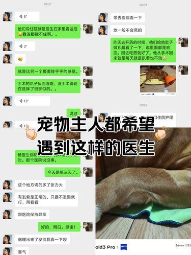 信任满满的医患合作