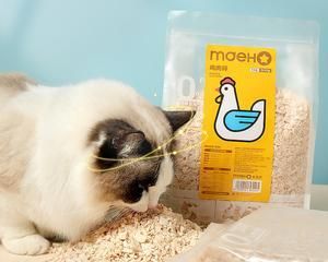 猫咪冻干怎样开冰箱？（宠物主人必知的正确操作方法）
