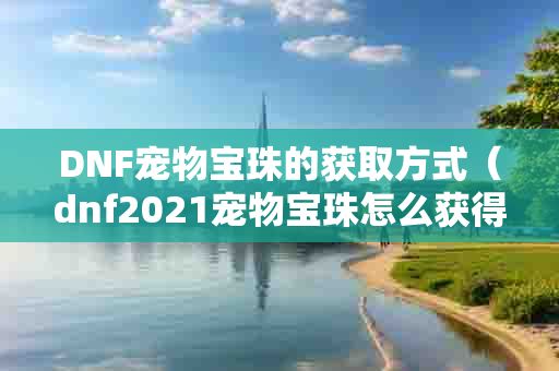 DNF宠物宝珠的获取方式（dnf2021宠物宝珠怎么获得）