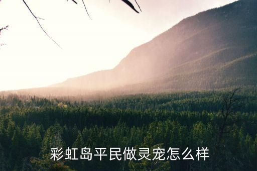  彩虹岛平民做灵宠怎么样