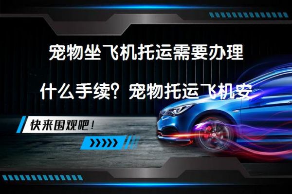 宠物坐飞机托运需要办理什么手续？宠物托运飞机安全吗？_58汽车