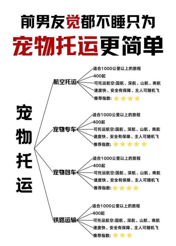飞机如何携带宠物