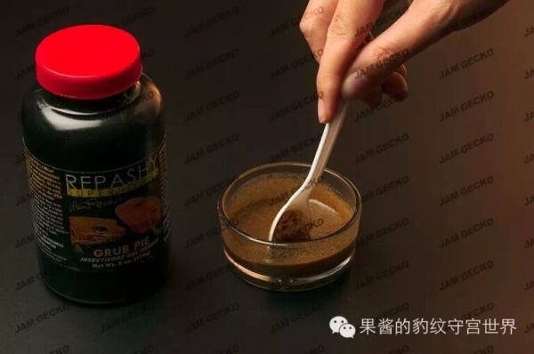 守宫一定要吃活虫吗（GRUB PIE昆虫凝胶饲料介绍）