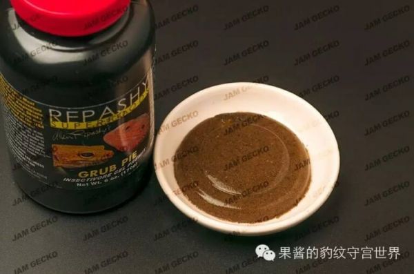 守宫一定要吃活虫吗（GRUB PIE昆虫凝胶饲料介绍）