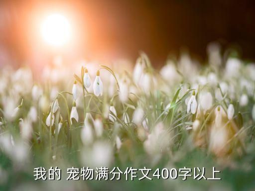 我和我的宠物