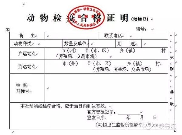 你知道宠物托运吗？3 个注意点，宠物就可以托运，求别出事就行