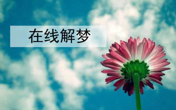 梦见去世的宠物狗是什么意思