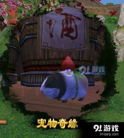剑网三重制版甜豆怎么获得?甜豆任务触发获取流程一览