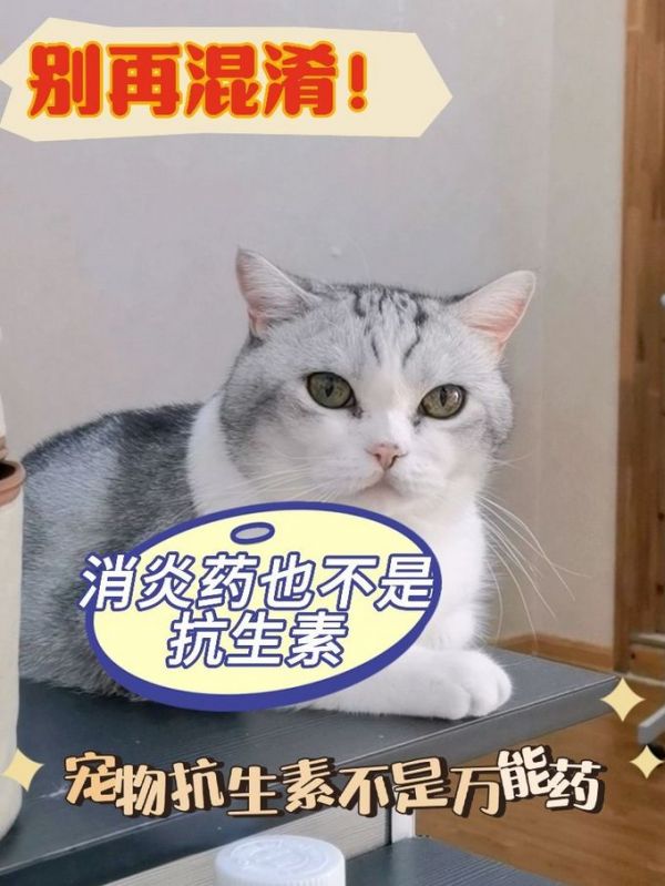 日用清洁