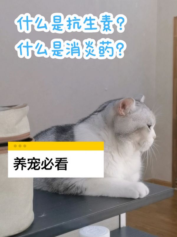 日用清洁