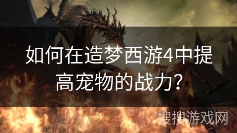 如何在造梦西游4中提高宠物的战力？