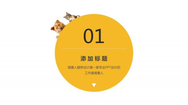 宠物萌宠精品PPT