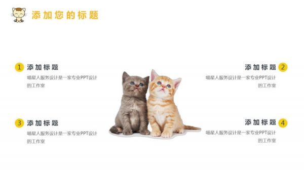 宠物萌宠精品PPT