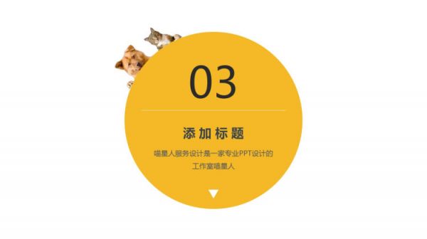 宠物萌宠精品PPT