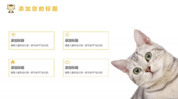 宠物萌宠精品PPT