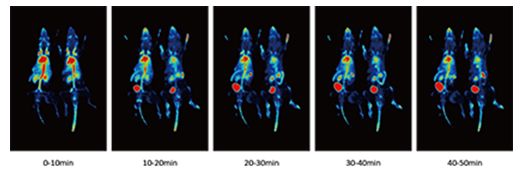 实验室仪器平生数字化高性能小动物PET/CT