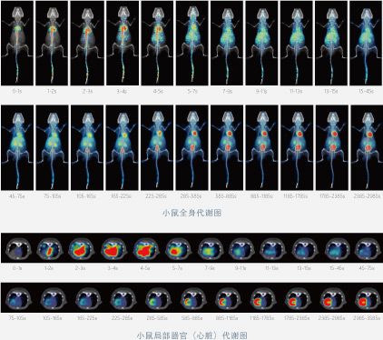 实验室仪器平生数字化高性能小动物PET/CT