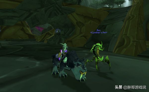 70级猫头鹰技能加点(魔兽TBCP5猎人宠物攻略) 第2张