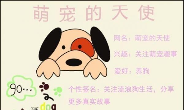好养体质又好的宠物大排名！狗狗第五，猫咪第三