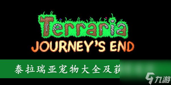 泰拉瑞亚宠物大全及获得途径