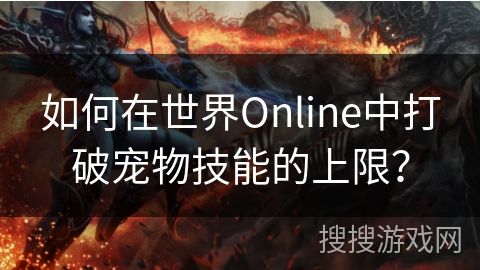 如何在世界Online中打破宠物技能的上限？