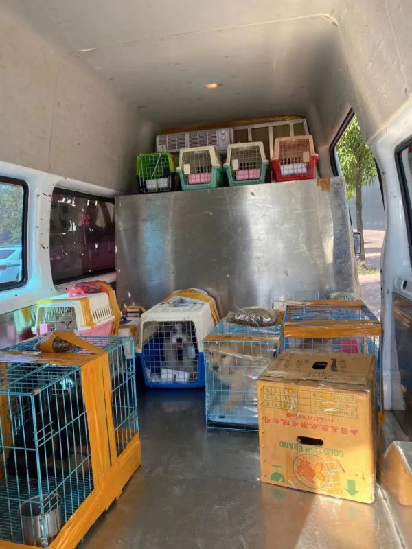 黄冈 猫托运 专车 汽车托运