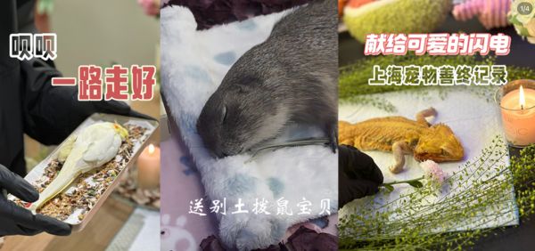 文中蒋歆、朱迪文、安迪、林非、孙飞、丁楚、秦丽丽、晓吉均为化名