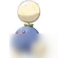 盘点《口袋妖怪复刻》最具个性的人气精灵