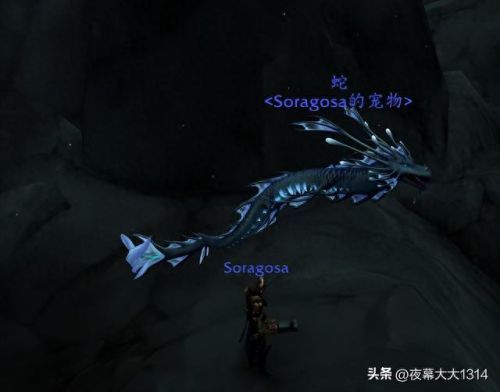 魔兽猎人宠物(魔兽猎人宠物天赋怎么点)插图4