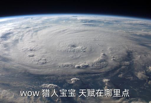 wow 猎人宝宝 天赋在哪里点
