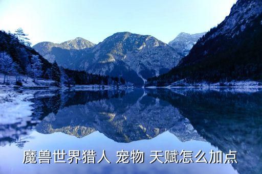 魔兽世界猎人 宠物 天赋怎么加点