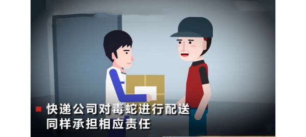 13岁男孩攒钱网购宠物蛇，玩蛇被咬进ICU：医生：竹叶青有毒