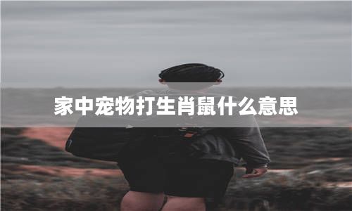 家中宠物打生肖鼠什么意思